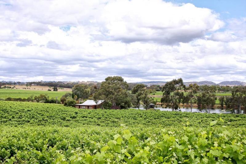 Stonewell Cottages & Vineyards Retreat Barossa Valley Eksteriør bilde